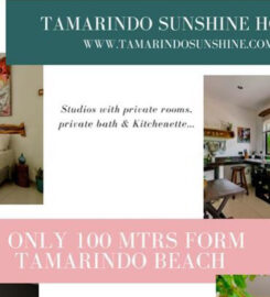 Tamarindo Sunshine